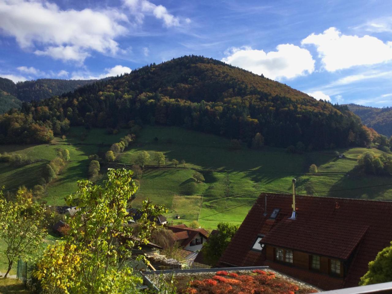 Erikas Haus Lejlighed Münstertal Eksteriør billede